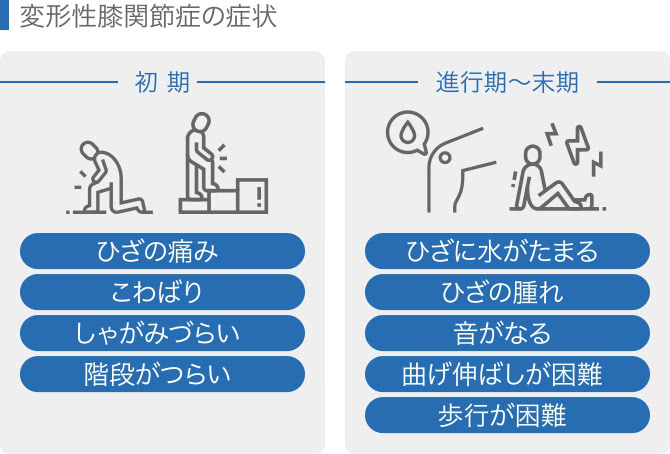 兵庫県尼崎市南武庫之荘のきりん接骨鍼灸院　変形性膝関節症の説明