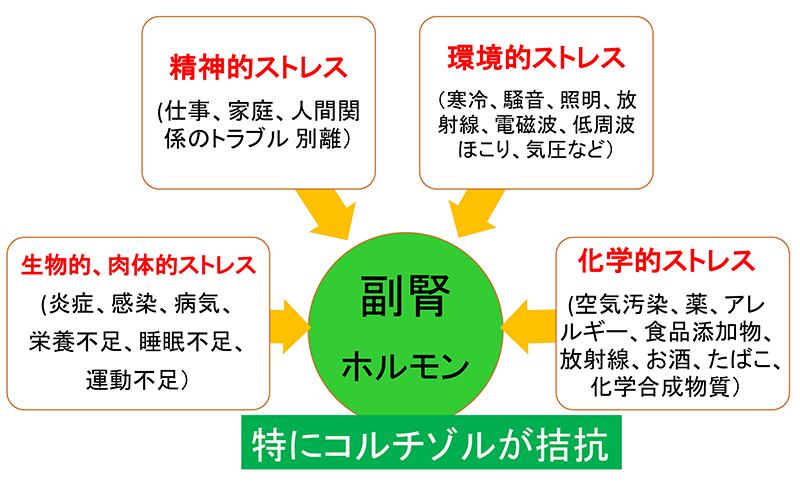 兵庫県尼崎市南武庫之荘のきりん接骨鍼灸院　副腎疲労症候群